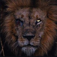 desperta.tu.que.dormes