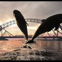 original sound - bhuttozulfikar