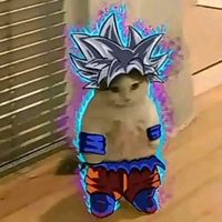 xe_lionewfl