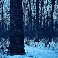 original sound - uberblizzard