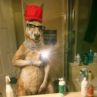 soymiguelitoalvitez01