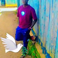 frankiwilliam670