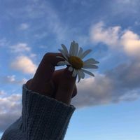 cont_cu_de_toate1444