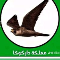 user43567051887256
