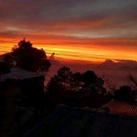 quino_tuy19