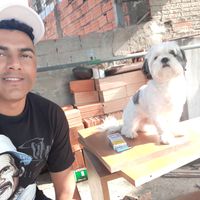 gilcurio