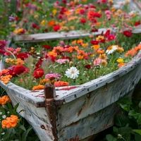 lepetitprince_larose