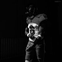 iq.ravens