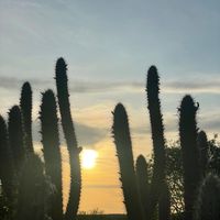 galeguinhodasicomendas