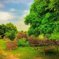daniyal_jara