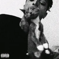 original sound - r1zonk