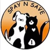 motherofunicorns.dtpl