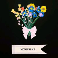Monse.c72