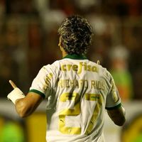 apegopalmeiras