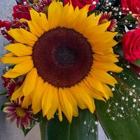 lizsandoval0327