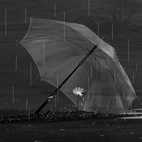 original sound - Sophia