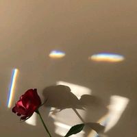 .grabar.tu.cara_11