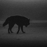 оригинальный звук - Jazzyae