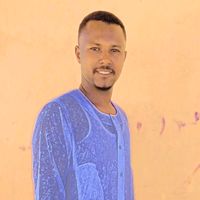 hussameldinali91