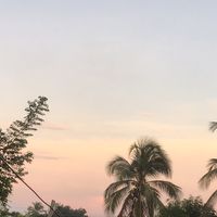 .bri._5