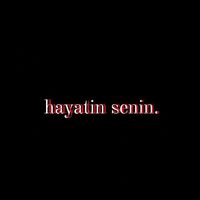 hayatin_senin