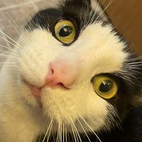 wow you really are 19