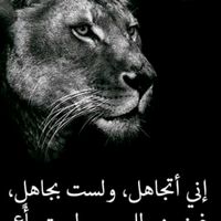 djamel12djamel