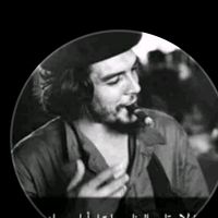 selah.ali0