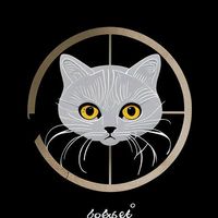 原聲 - 灰貓音樂