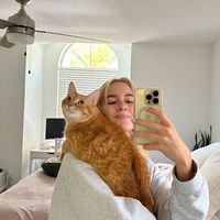 sillyysimon