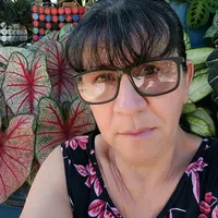 original sound - luzdary540