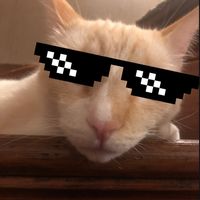 Thanks for using my sound sorry youre prisoners