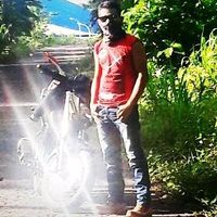 zhay_dino
