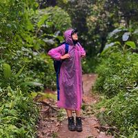 suara asli - salmaats