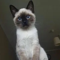 original sound - soy_lili_08