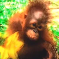 I had a young hot thang