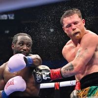 boxingcontent_hub
