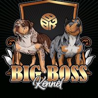 bigbosskennel
