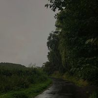 jaslisty_