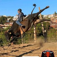 azevedoo_35