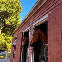 original sound - tarlysson7