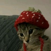 cam.things_