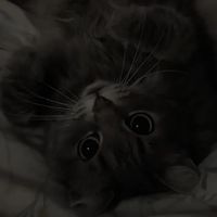 use this sound if u like kids