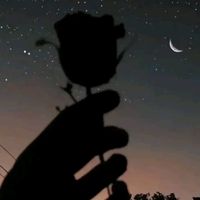 amor.bonito1157
