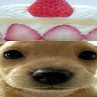 melancholicgf
