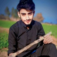 vip_punjab
