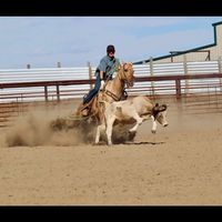 heeler08