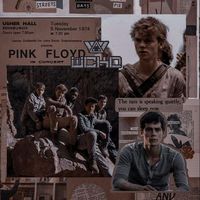 ___the.maze.runner___