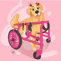 oliviagoldenespecial