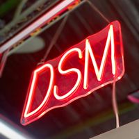 dsm_houseof